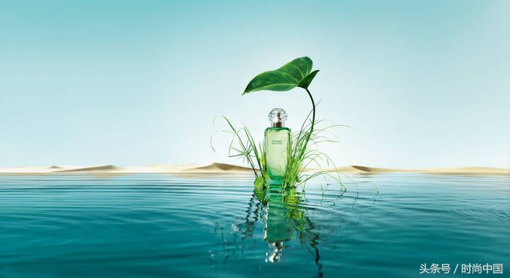 闻香识女人第六感,闻香识女人的香氛