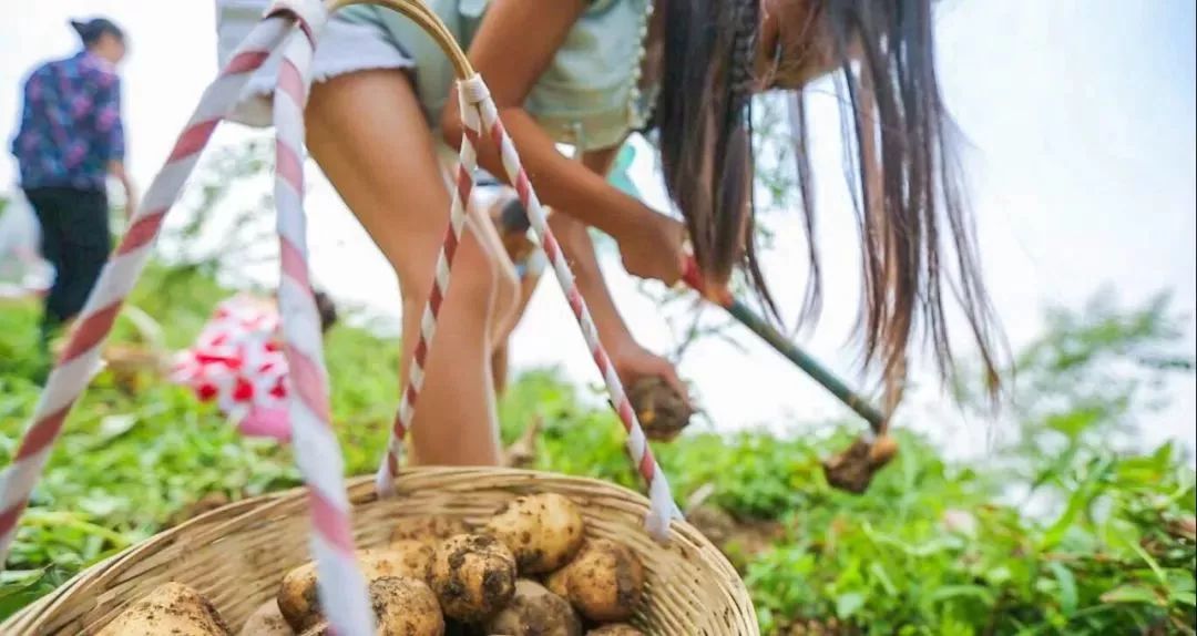 九皇山秋天攻略,秋天九皇山可以干嘛