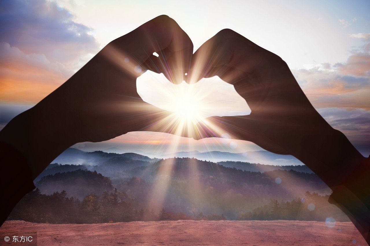 最新19条毒鸡汤,100字毒鸡汤