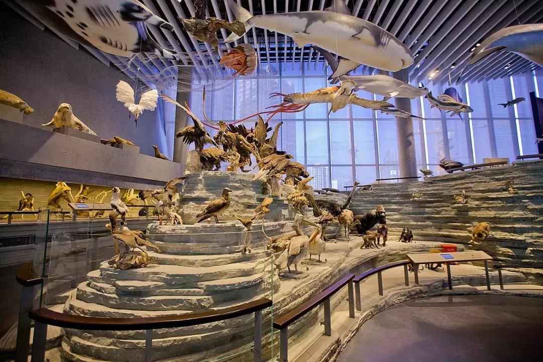 2021年上海迪士尼门票多少钱,上海迪士尼vip免排队门票价格