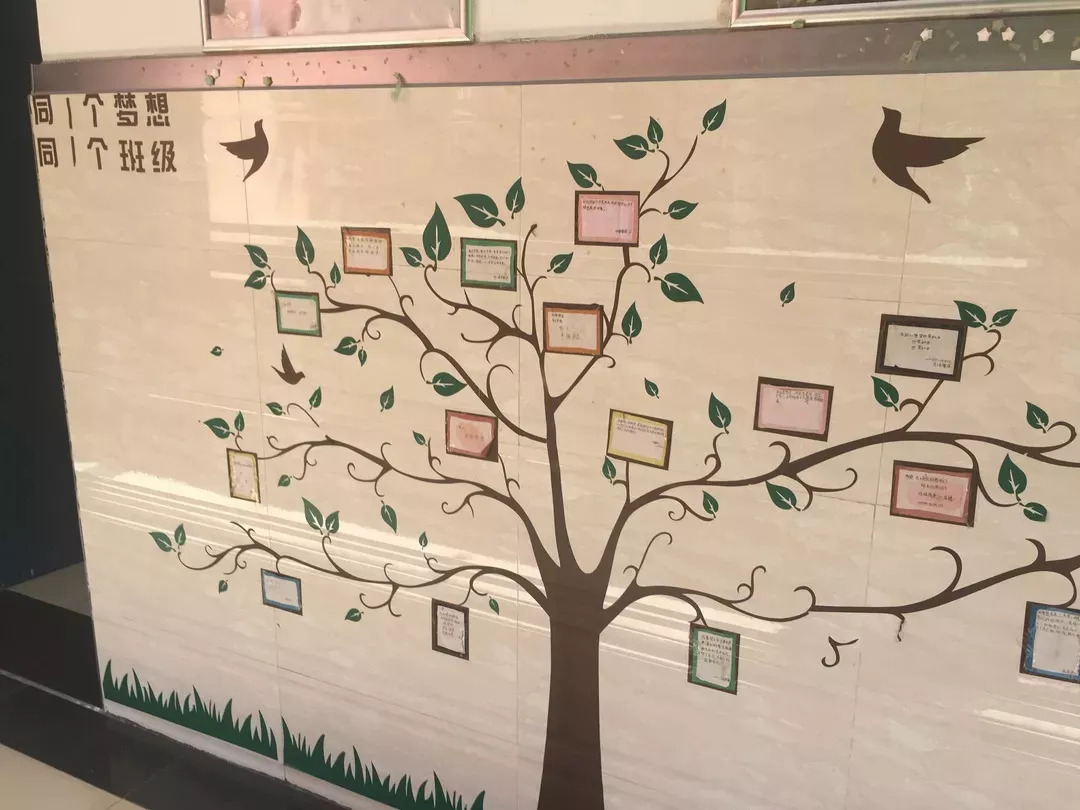 莲花中学开学时间,莲花县莲花中学开学