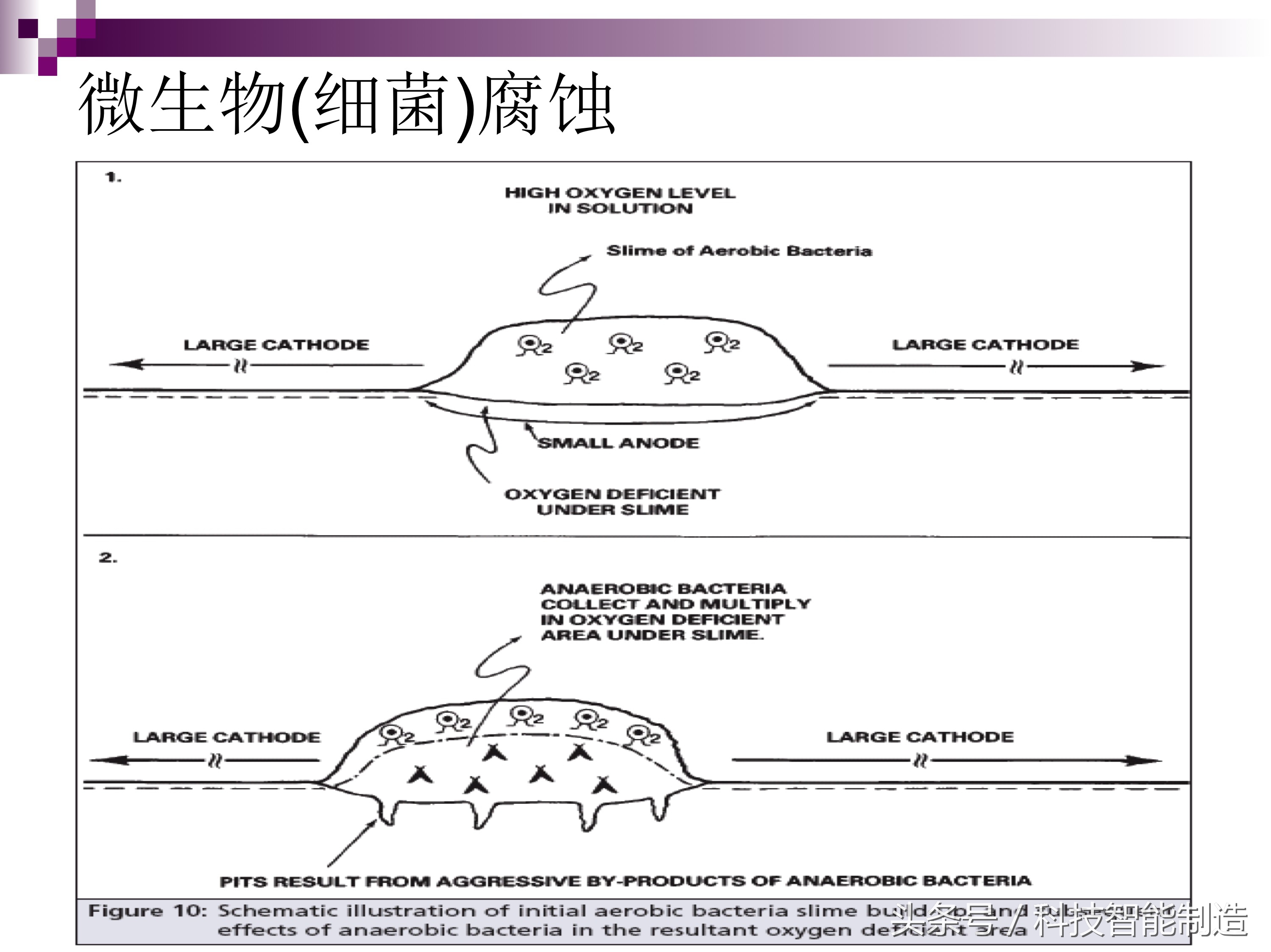 不锈钢腐蚀的主要原因是什么元素,不锈钢腐蚀真实案例