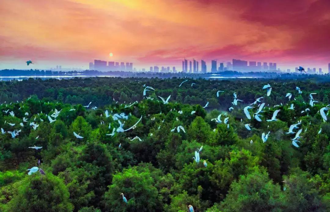 东海水晶发展,东海县中国水晶之都