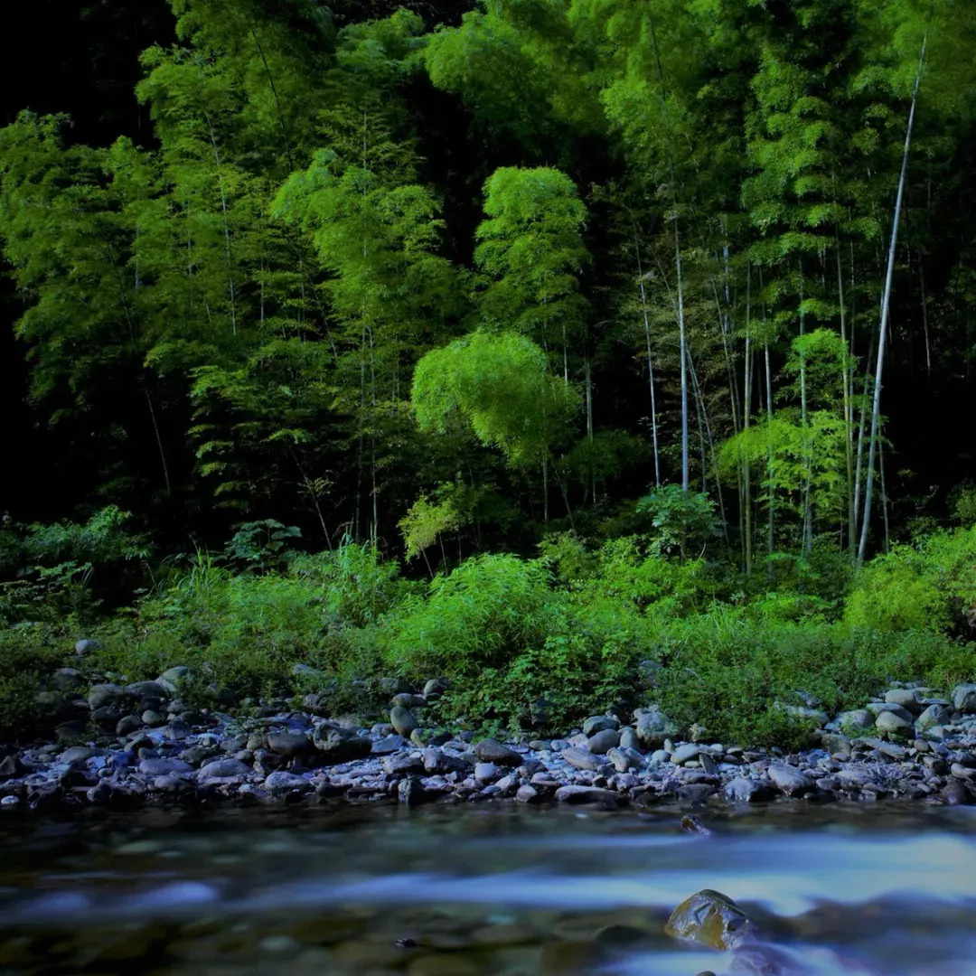 一去梵净,便懂了最美中国风