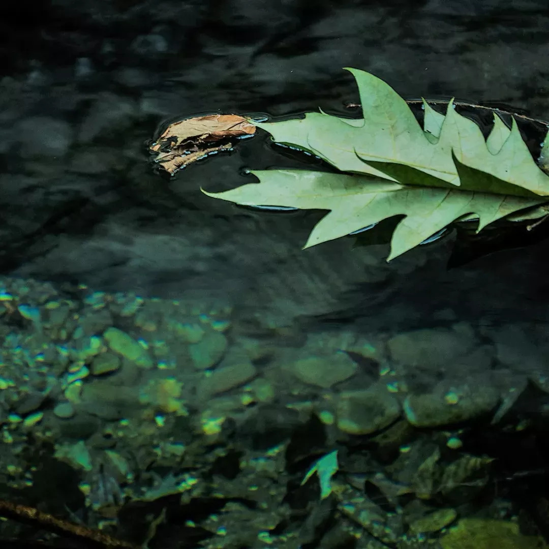 一去梵净,便懂了最美中国风