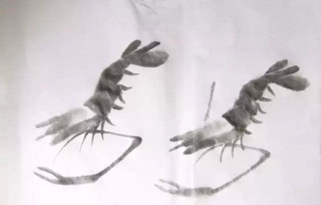 简单的画虾教程儿童,最简单的画虾的方法