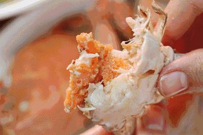 烟台开海现场直播视频,开海现场视频直播