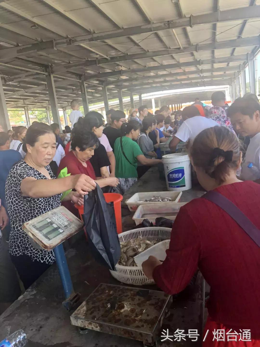 烟台开海现场直播视频,开海现场视频直播
