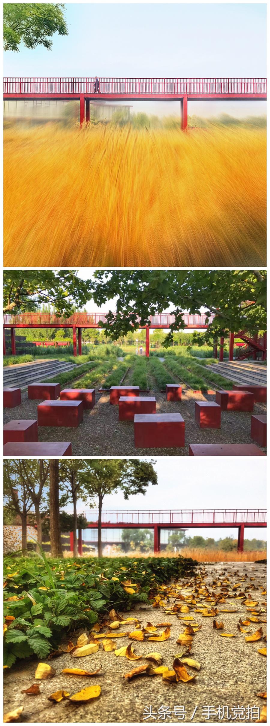 一座桥的20种拍法|教你一招提升“手机摄影观察力”