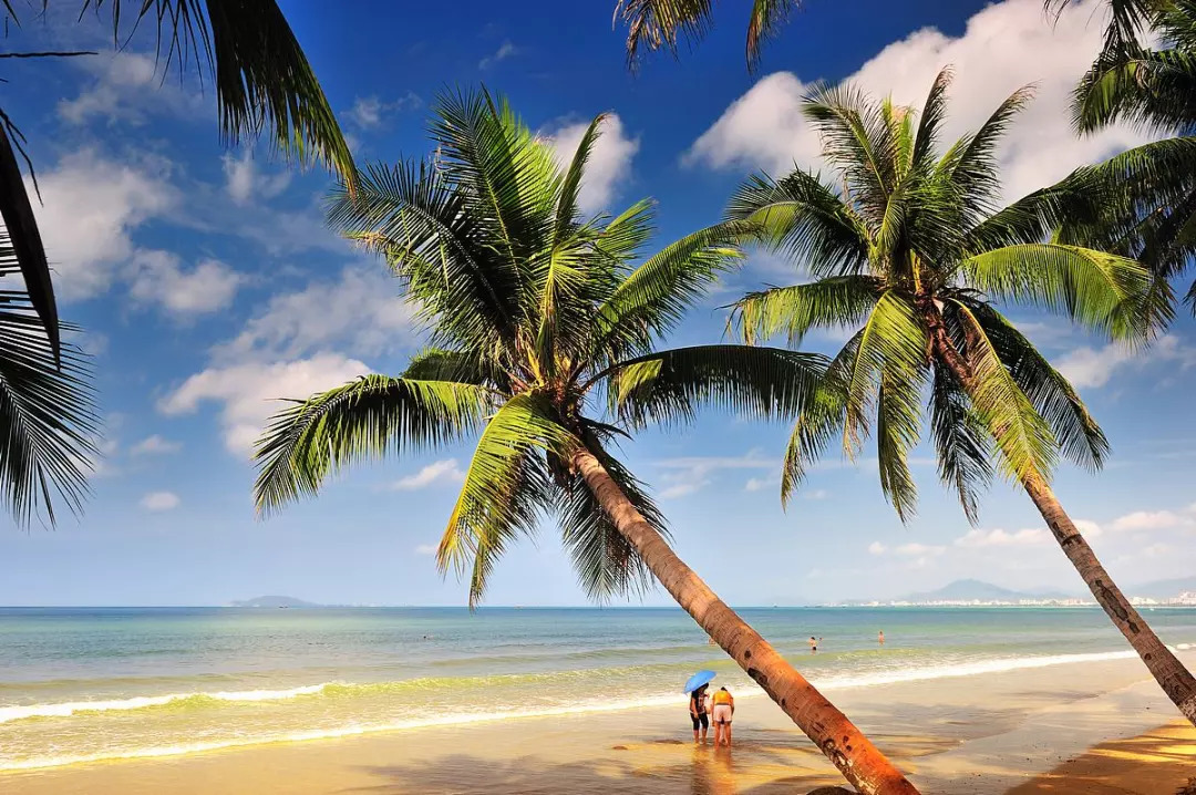 上海飞九月的机票是多少钱,9月29号上海到日本飞机票价格