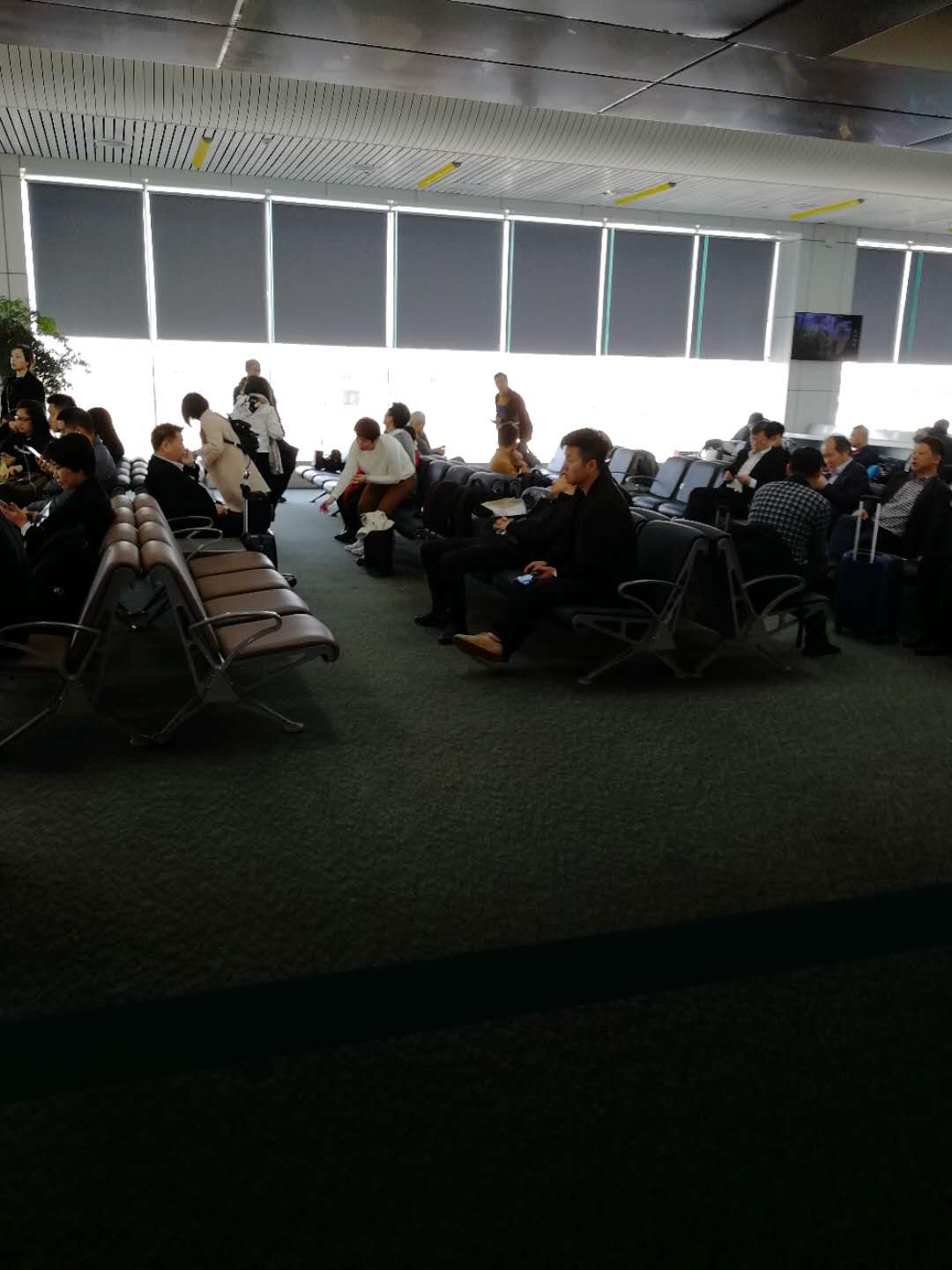 第一次坐飞机如何不丢人,第一次坐飞机的真实感受