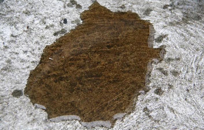 汽车养护小窍门搞笑,汽车油迹怎么清洁