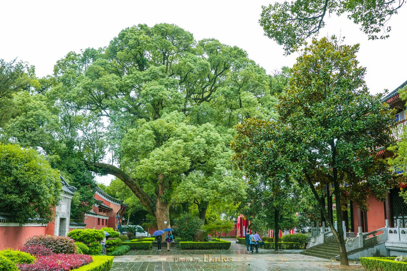 深度解密龙虎山,世界遗产名录里有龙虎山吗