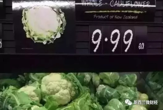 移民新西兰后悔的真实感受,新西兰移民后的生活状况