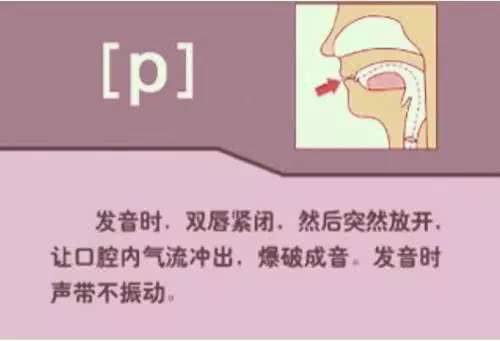 英语48个音标发音详细教程,英语48个音标的正确发音和技巧