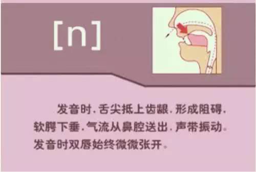 英语48个音标发音详细教程,英语48个音标的正确发音和技巧