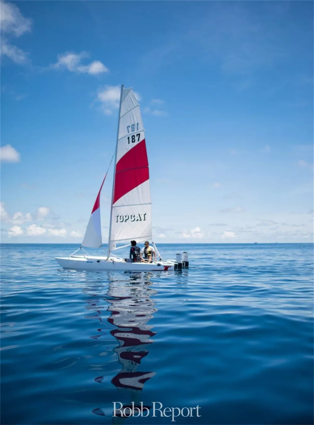 带你看世界的酒店,东方甄选看世界酒店