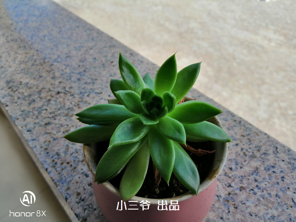 荣耀8xcpu双层是什么版本,荣耀8x屏闪吗