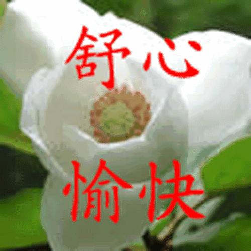 清晨早上好问候祝福动态表情图片,早上好动态图片表情最新全屏