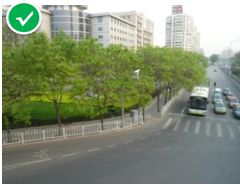 「交通看点」建设“完整林荫道”——步行和自行车交通环境设计建设图集亮点介绍（一）