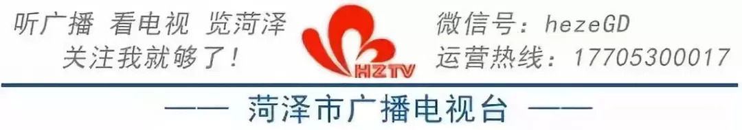 鲁RD777P、鲁RE111Z、鲁RH555W等600余量小型机动车即将被强制报废！