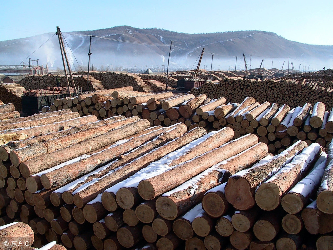 东北之旅温暖人心,东北之旅感动视频