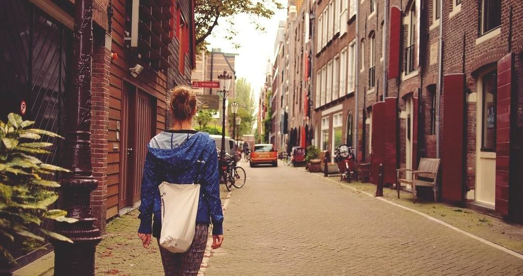 肇庆鼎湖推荐景点自驾游免费,鼎湖山是北回归线的绿宝石