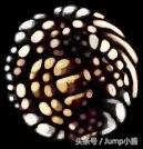 空洞骑士易碎护符变成坚固护符,空洞骑士满护符该用什么护符