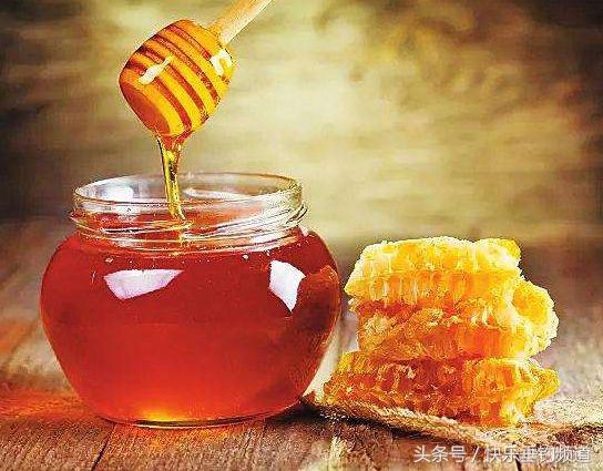 秋钓钓鱼技巧视频,秋钓鲤鱼诀窍