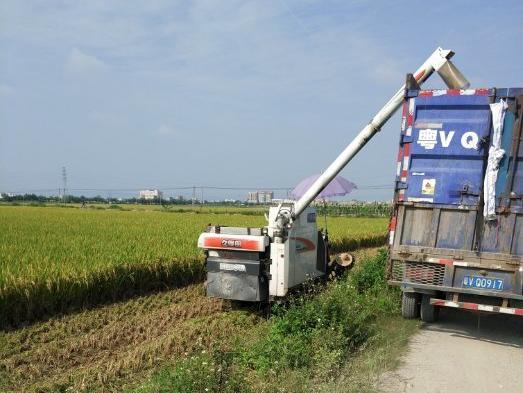 特殊的卡车人！向奋战在一线的收割机大军致敬