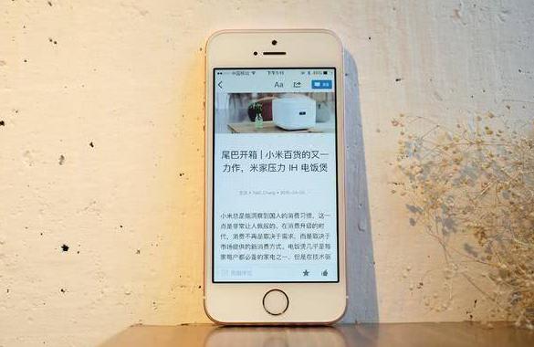 怀念啊我们的青春啊原唱是谁,怀念啊我们的青春啊语音版