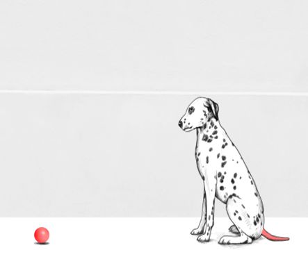 时间为什么一直往前走,为什么时间只能前进不能后退