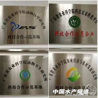 中草药也可调水、抑菌、驱虫、解毒，广州盈盛汇要走中草药应用创新之路