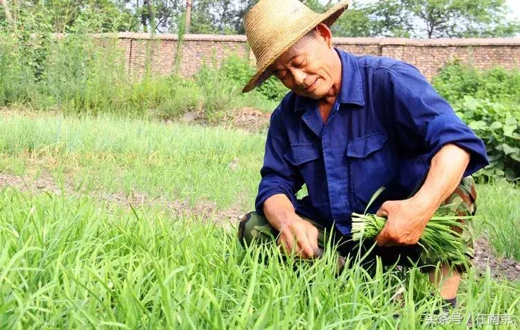 娃娃机抓不上来视频,娃娃机一个都抓不到