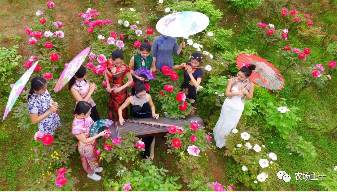 成为农业大户的条件,中国农场主的要求