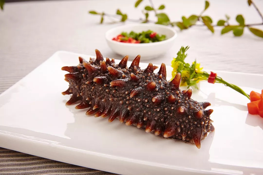 滨州专卖海参店,滨州海参