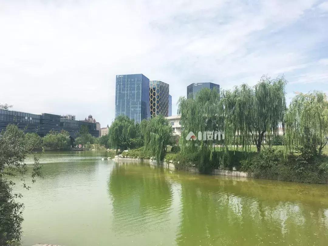 9号线地铁口现房多少钱一平方,地铁口9字头新盘