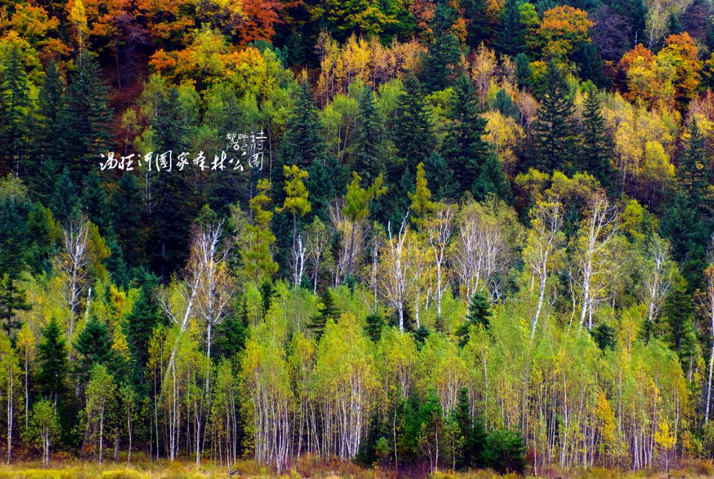 这些绝美小黄片,已经陆续在全国上线,找个时间去扫黄吧