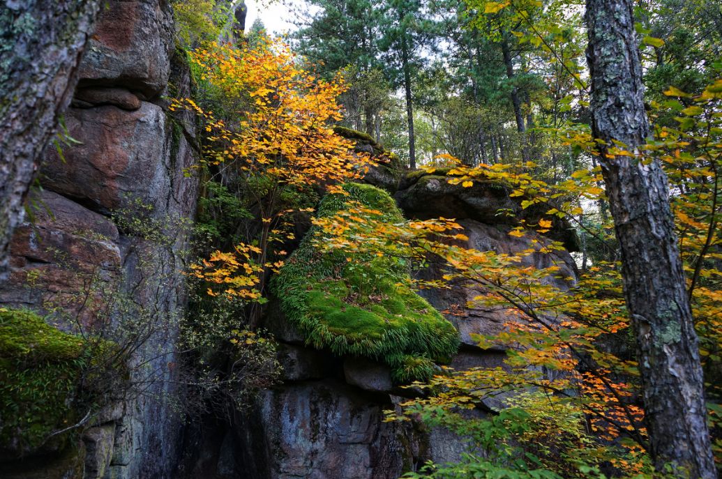 这些绝美小黄片,已经陆续在全国上线,找个时间去扫黄吧