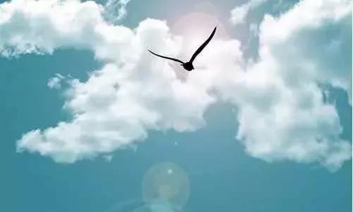 不可错过的美句,英语哲理句子唯美短句