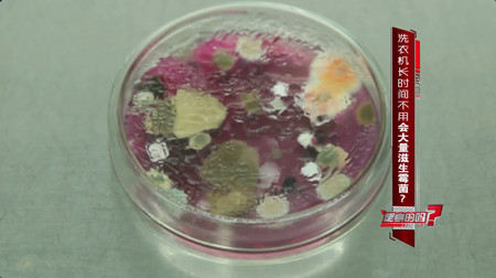 洗衣机长期不洗霉菌,洗衣机放在潮湿的环境有霉菌