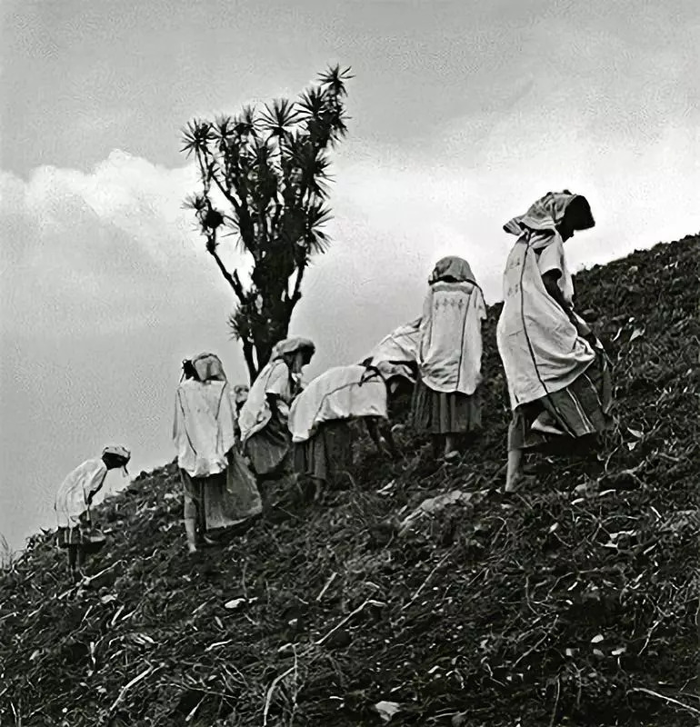 你没有把我换掉，我永远也不会饶恕你｜一则*妻换**寓言