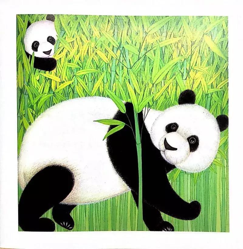 最近流行适合女性的一套书,平价颜值又高容量大的书