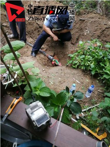 蓬莱公寓一层业主肆意占绿地挖鱼池毁电缆