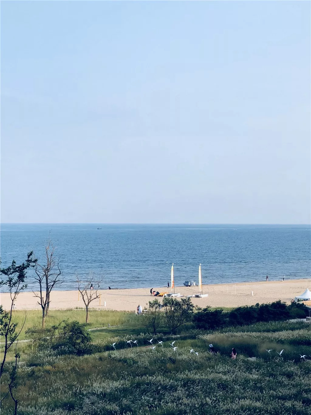 北戴河五大网红地标打卡游攻略,北戴河湿地公园网红打卡地