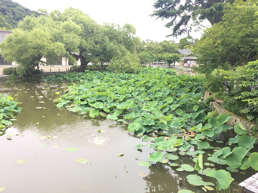 带你走进日本风土人情,跟日本女朋友一起旅游吃什么