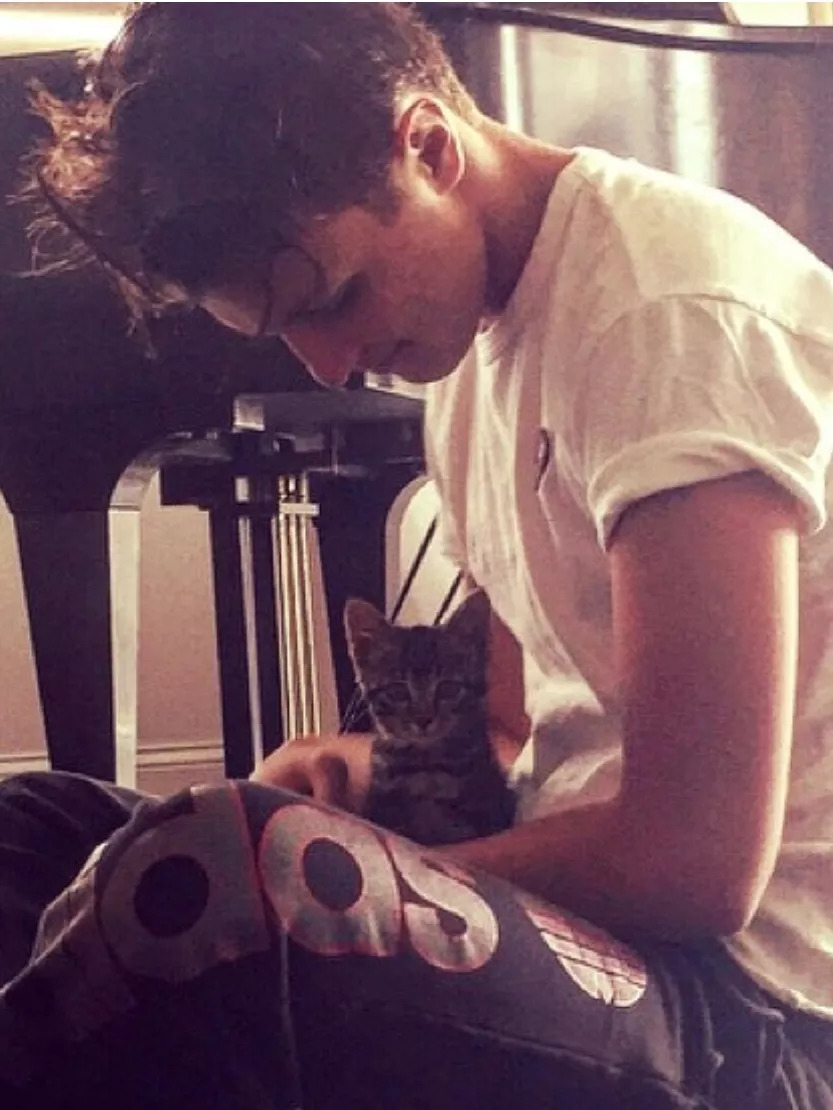 维密天使猫猫走秀,维密超模走秀猫咪