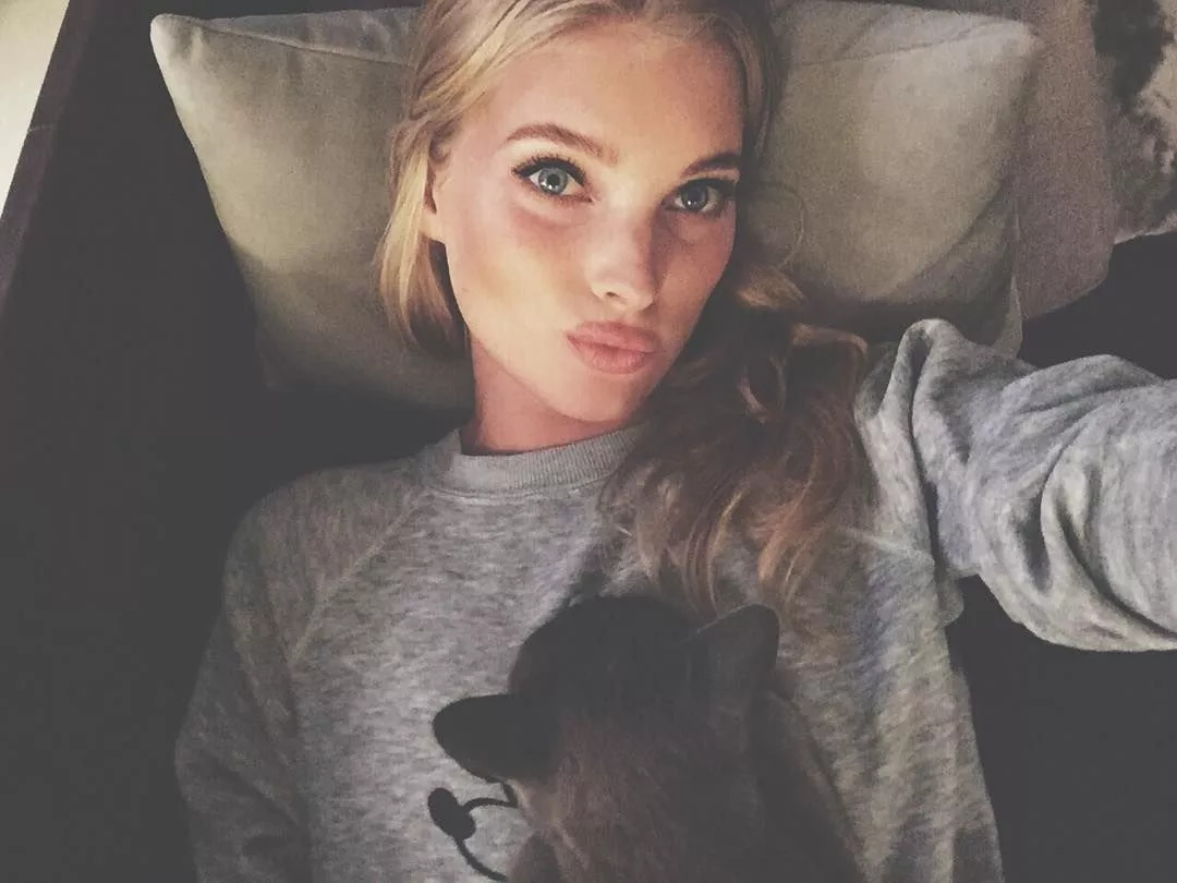 维密天使猫猫走秀,维密超模走秀猫咪