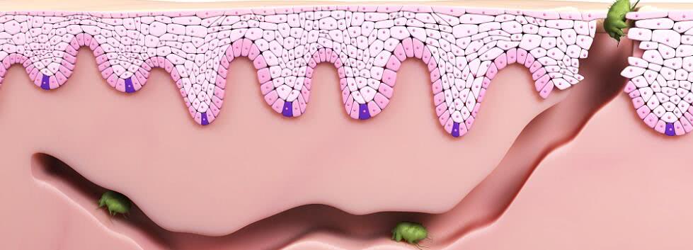 小狗d-620无线除螨仪,危机四伏翻盘小狗