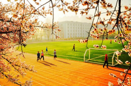 强国复兴朗诵诗词,谱写中华复兴华章诗词